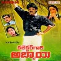 Collector Gari Abbai