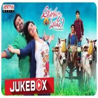 Annapurnammagari Manavadu