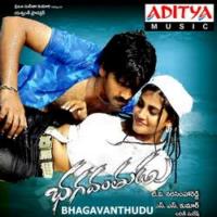 Bhagavanthudu
