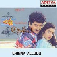 Chinna Alludu