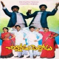Chinnodu Pedhodu