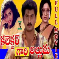 Collector Gaari Alludu