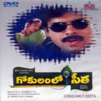 Gokulam Lo Seetha