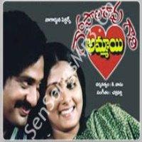 Gopala Rao Gari Abbayi