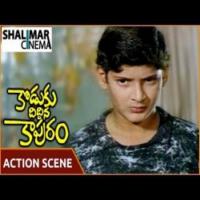 Koduku Diddina Kapuram