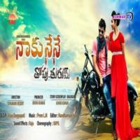 Naku Nene Thopu Thurumu