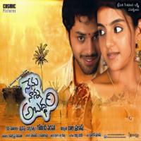 Nenu Nanna Abaddam