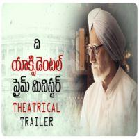 The Accidental Prime Minister