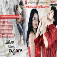 Vethika Nenu Naa Ishtanga