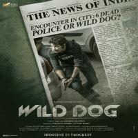 Wild Dog